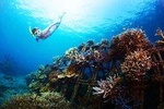 The Charm of east Bali and Blue Lagoon Snorkeling
