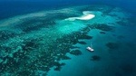 Outer Barrier Reef Sailing and Snorkeling Adventure from Port Douglas