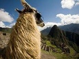 6 - Days Exploring Cusco