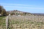 A winey day out! The wonderful Sauvignon blancs of Sancerre and Pouilly-Fumé