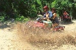 Mystic Adventure Atv and Cenote Experience