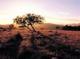 Adelaide To Coober Pedy 7 DAY SMALL GROUP 4WD SAFARI