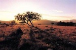 Adelaide To Coober Pedy 7 DAY SMALL GROUP 4WD SAFARI