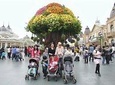 Everland Amusement Park