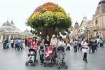 Everland Amusement Park