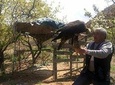 Kyrgyzstan Experiencing Nomadic Culture: 4 Days Issyk-Kul Lake Round Tour