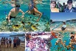 Bali Best Snorkeling at Blue Lagoon with Transport and Lunch