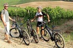 Small Group E-Bike Tour from Siena with Wine Tasting and Lunch