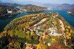 Nami Island & Garden of Morning Calm