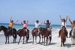 Ride Horses on the Beach