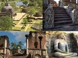 Polonnaruwa Day Tour with MTH