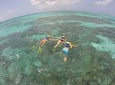 Coastline Snorkel and BBQ