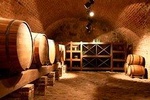 2-Day The Wine and Pisco Route in Paracas from Lima