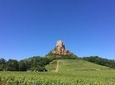 Macon & Beaujolais Wine Tour - Full Day - From Lyon in small group tours