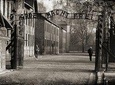 Krakow and Auschwitz Tour - One Day Tour from Warsaw by private car