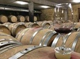 Cotes du Rhone Wine Tour - Full Day - From Lyon in small group tours