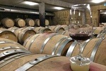 Cotes du Rhone Wine Tour - Full Day - From Lyon in small group tours