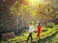 Private Shore Excursion: Ubud Highlights Tour