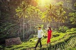 Private Shore Excursion: Ubud Highlights Tour