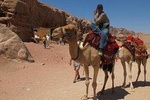 Petra day tour from Jerusalem by bus