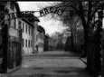 1 Day Trip - Auschwitz Museum and Salt Mine all inclusive with local guides