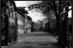 1 Day Trip - Auschwitz Museum and Salt Mine all inclusive with local guides
