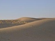 02 Days 01 Night Camel Safari
