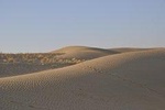 02 Days 01 Night Camel Safari