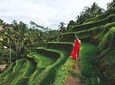 Private Bali Tour: Ubud and Tanah Lot Tour