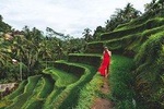 Private Bali Tour: Ubud and Tanah Lot Tour