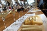 Viña Concha y Toro Premium Tour (half day)