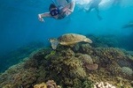 Frankland Islands Great Barrier Reef Cruise