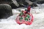 Full-Day Tour: White Water Rafting and Jungle Swing with Rice Terrace