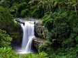 Bali Shore Excursions : Best Nature and Art in Bali