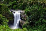 Bali Shore Excursions : Best Nature and Art in Bali