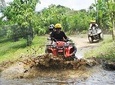 Bali Quad Bike Adventure and Ubud Monkey Forest with All-inclusive
