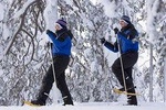 Snowshoe Trip in the Forest