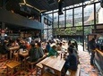MEXICO CITY-ROMA FOODIE WALKING TOUR