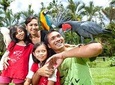 Bali Bird Park Admission Ticket with Hotel Transfer