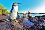 THE BEST OF ECUADOR & GALAPAGOS ACTIVE EXCURSION 11 DAYS