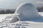 Building a Snow Igloo