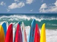 Surf Lesson / KAPOWUI / 1 Hour 30 Minutes 