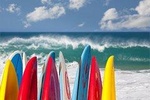 Surf Lesson / KAPOWUI / 1 Hour 30 Minutes 