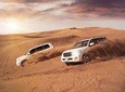 Qatar Desert Safari Expirence .