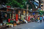 Audio Guided Tour of Matunga & Dadar Parsi Colony, Mumbai