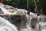 Tour to: Dunns River Falls 