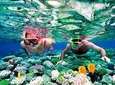 Riviera Maya Snorkeling