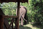10 Day Western Uganda Wildlife Safari