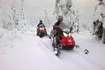 Snowmobile Safari in the Forest