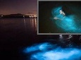 Tour to: Luminous Lagoon/Glistening Water